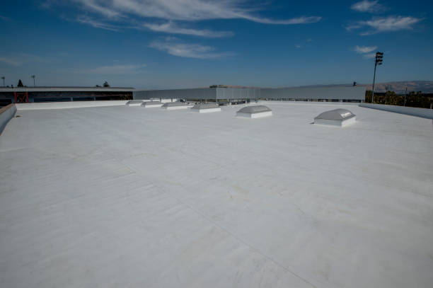 Best Steel Roofing  in Turpin Hills, OH