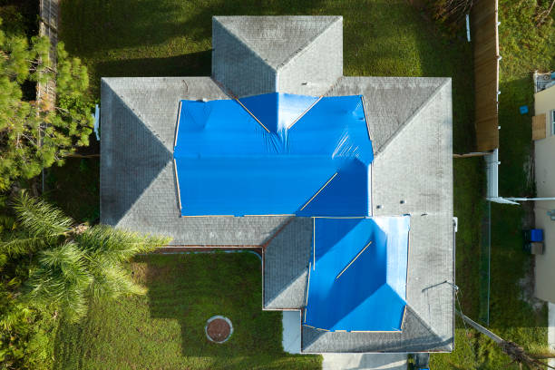 Best Roof Insulation Installation  in Turpin Hills, OH